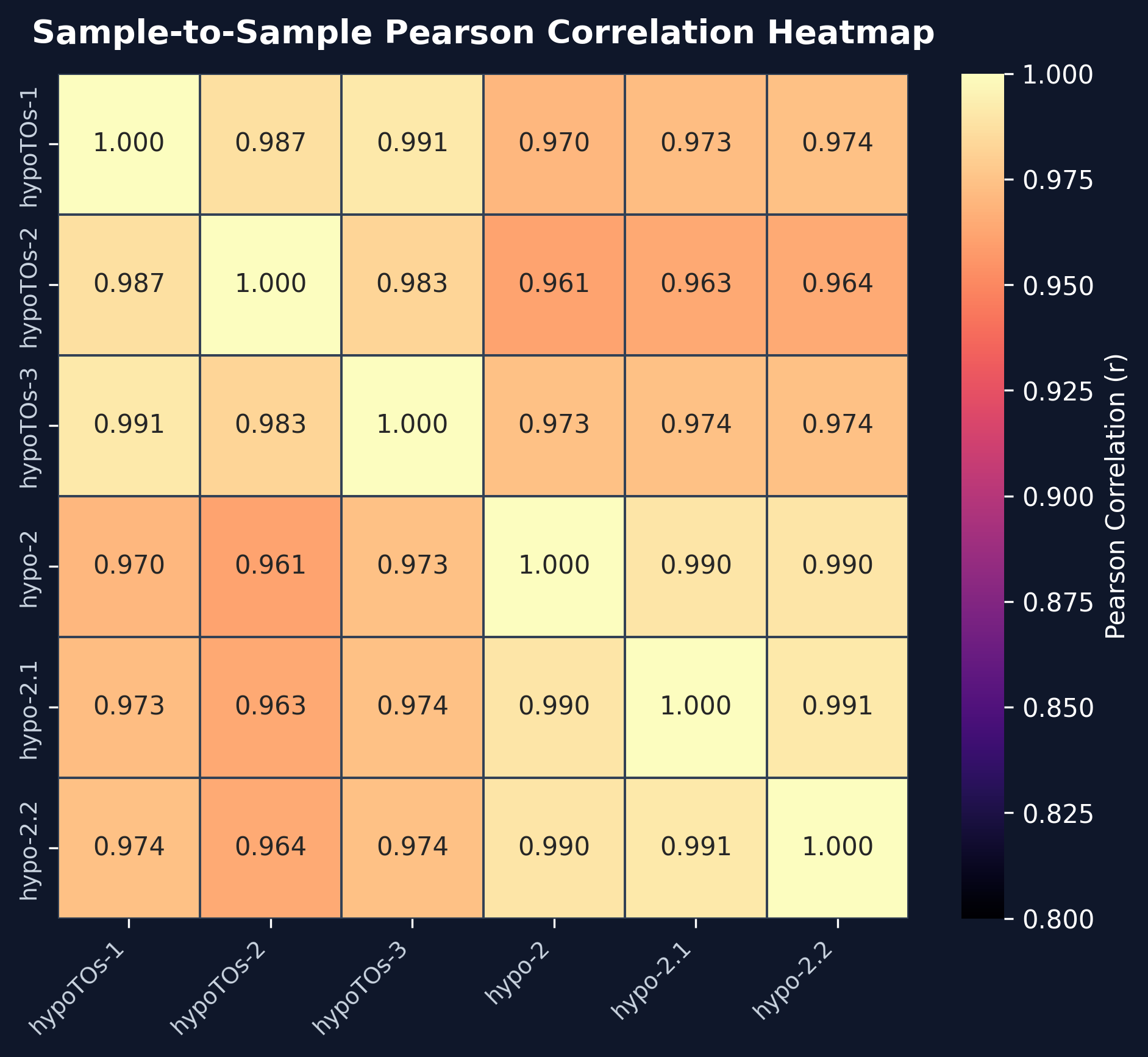 Sample Correlation Heatmap